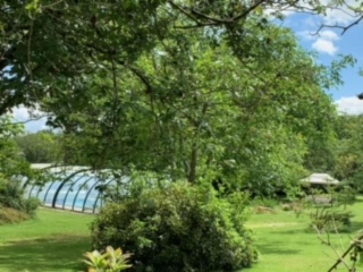 La Clotiere Bed & Breakfast La Guerche-de-Bretagne Ngoại thất bức ảnh